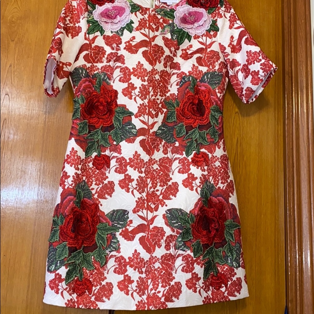 Beautiful floral mini dress with 3D floral design